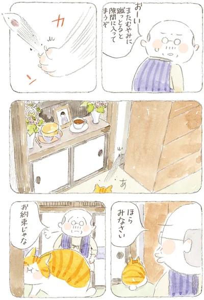 『ねことじいちゃん10』より