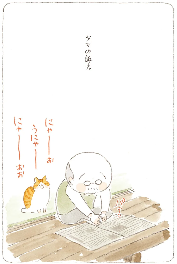 タマの訴え