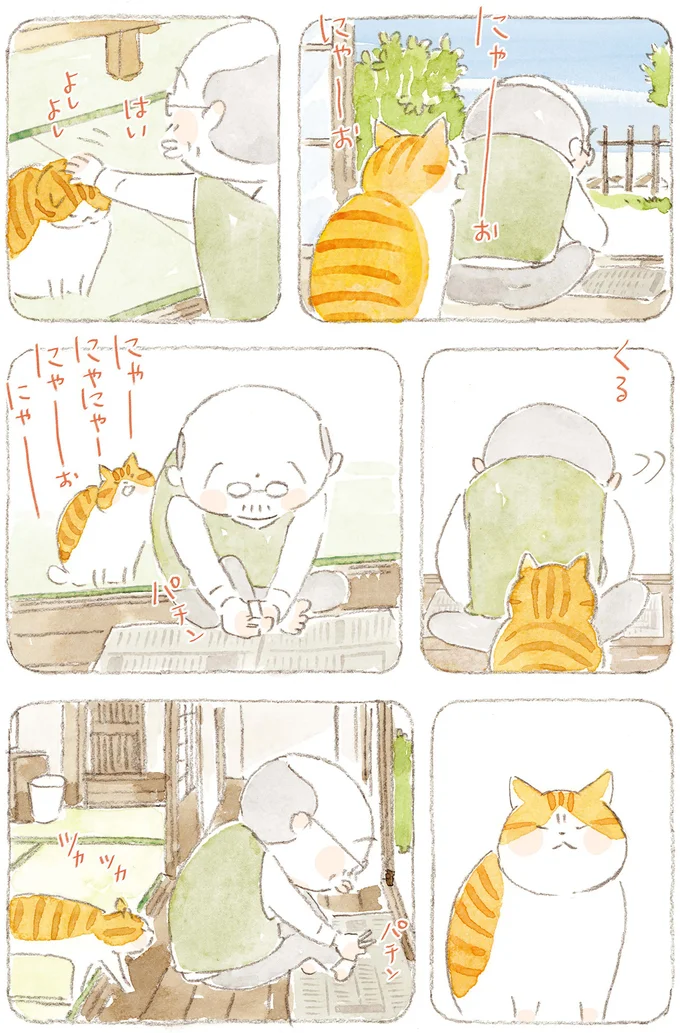 爪を切るおじいちゃんと猫