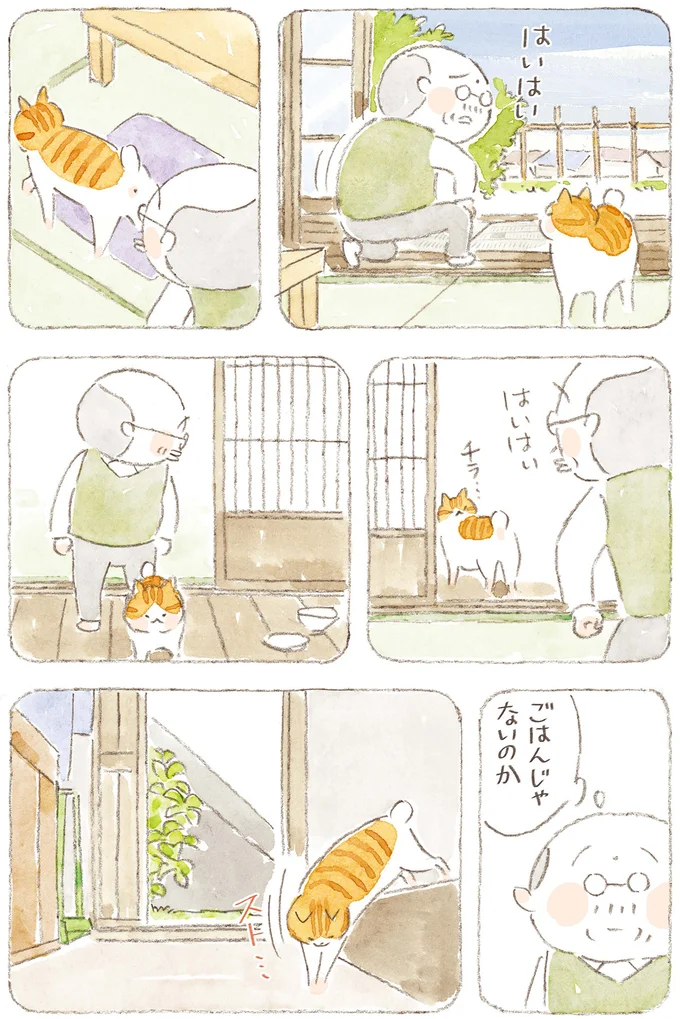 ごはんじゃないのか