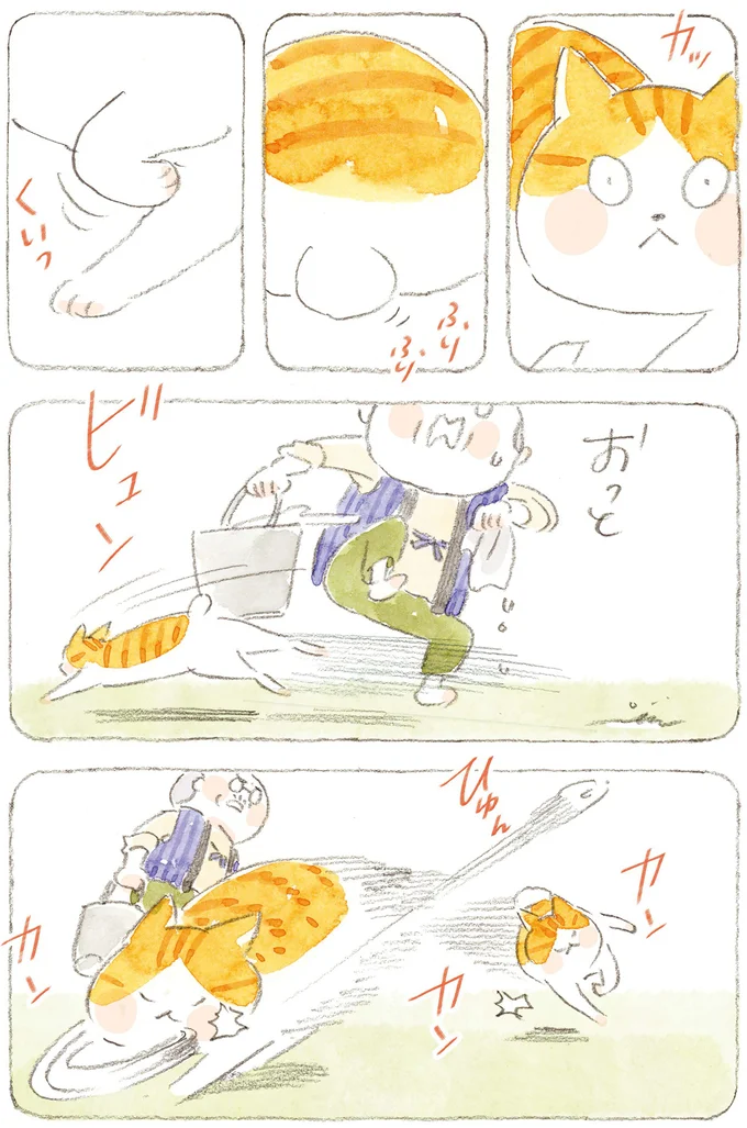 おもちゃで遊ぶ猫