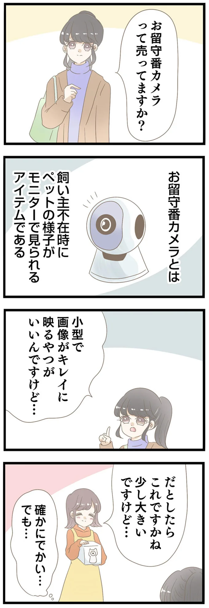 お留守番カメラって売ってますか？