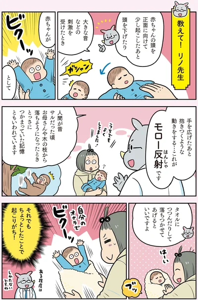 モロー反射