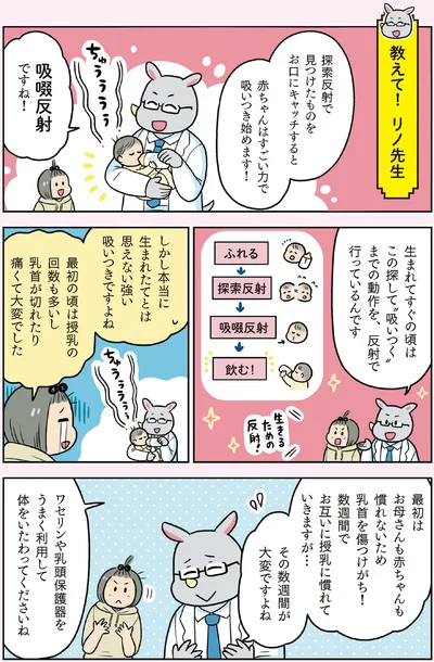 『マンガでわかる！ 赤ちゃん大図鑑-子育てで本当に役立つ100のひみつ』より