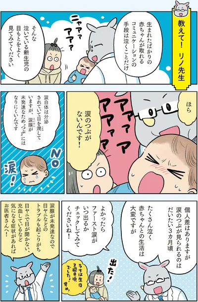 『マンガでわかる！ 赤ちゃん大図鑑-子育てで本当に役立つ100のひみつ』より