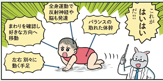 【赤ちゃんのひみつ】始まると見守りも大変！ 機動力が格段に上がる「はいはい」／赤ちゃん大図鑑（17）