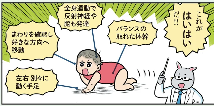 【赤ちゃんのひみつ】始まると見守りも大変！ 機動力が格段に上がる「はいはい」／赤ちゃん大図鑑（17）
