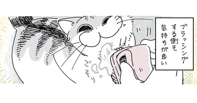 ブラッシングする側も気持ちがいい