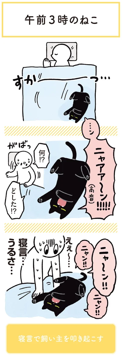寝言で飼い主を叩き起こす猫！？　人気作『黒猫ろんと暮らしたら』