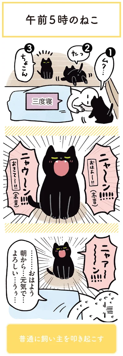 朝から…元気で…よろしい…