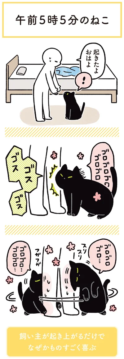 起きたよ　おはよ