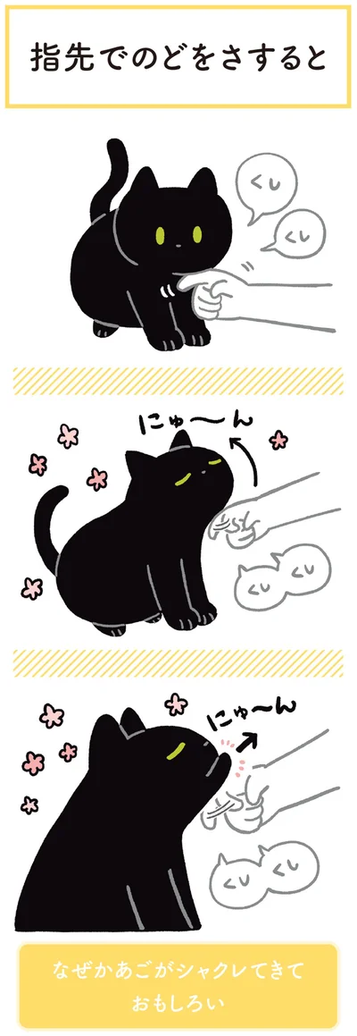 『黒猫ろんと暮らしたら3』より