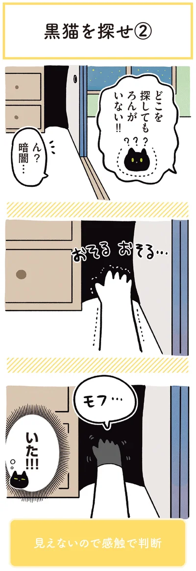 『黒猫ろんと暮らしたら3』より