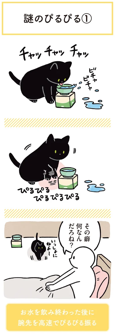 『黒猫ろんと暮らしたら3』より