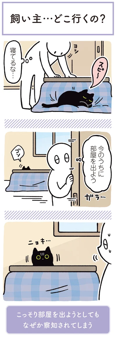 『黒猫ろんと暮らしたら3』より