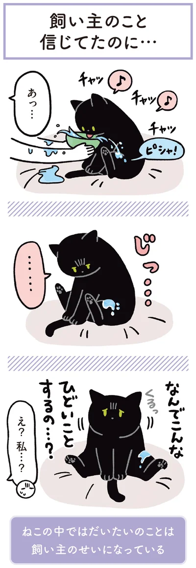 『黒猫ろんと暮らしたら3』より