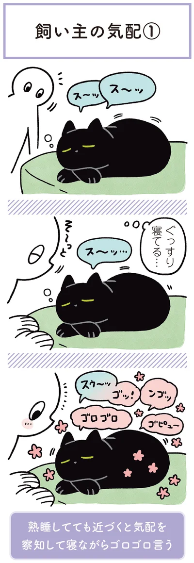 『黒猫ろんと暮らしたら3』より