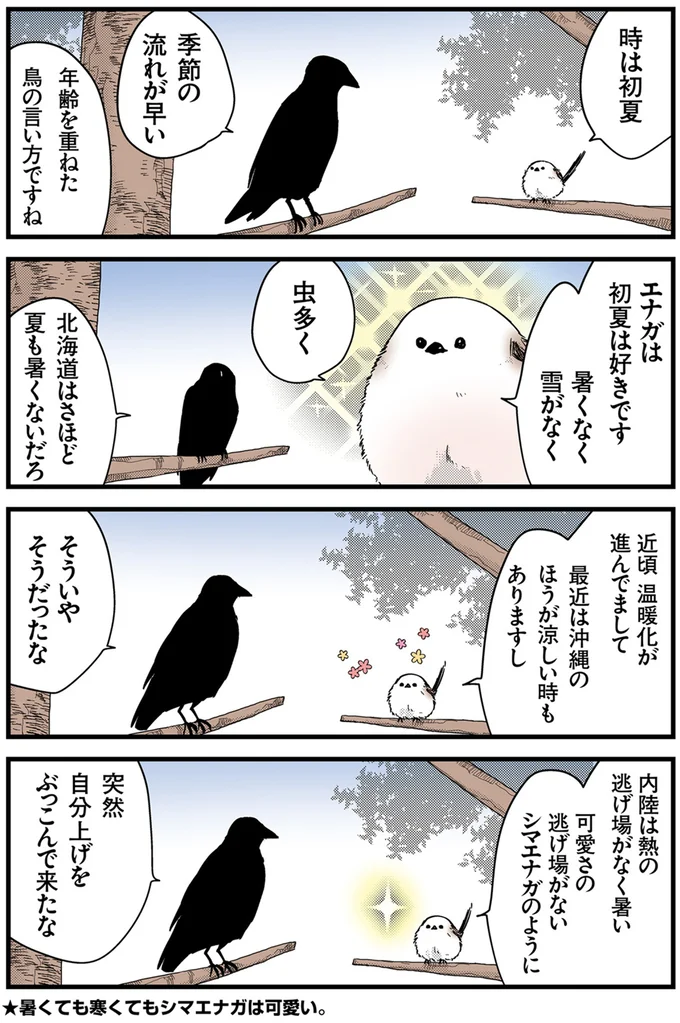 エナガは初夏は好きです