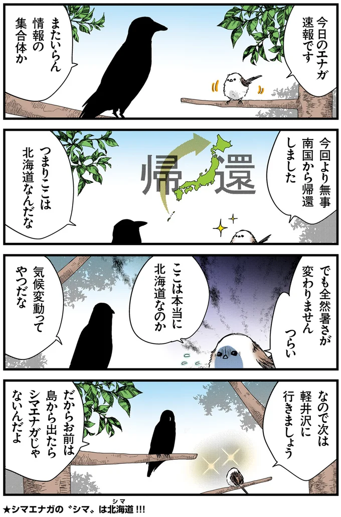 ここは本当に北海道なのか