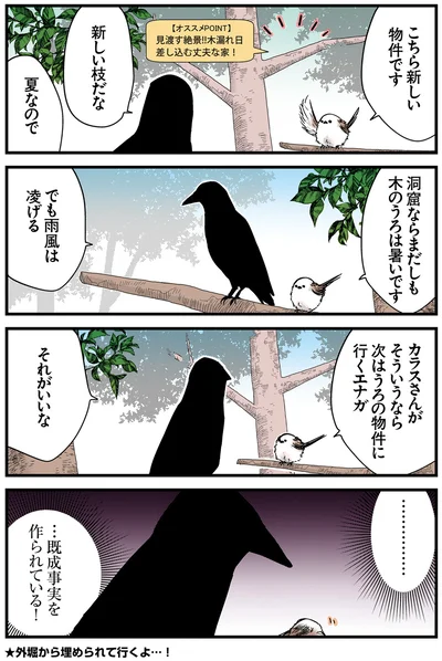 既成事実を作られている！