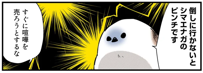 可愛くて青いなんてずるい。シマエナガのアイデンティティを守りたい話／永久機関シマエナガおかわり！（5）