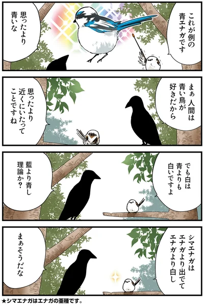 例の青エナガ