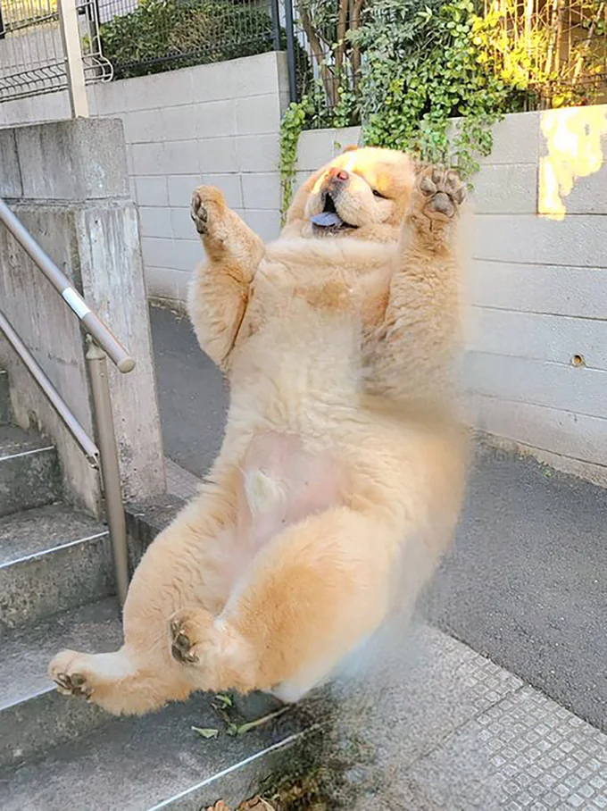 消しゴムマジック?!くり蔵くん▶つぶらな瞳で見つめるくり蔵くん(⇒次へ)