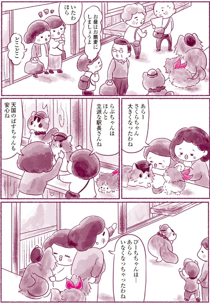さくらちゃん大きくなったわね