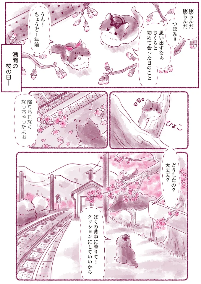 『にゃん旅鉄道　～さくらの物語～』より