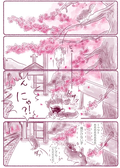 『にゃん旅鉄道　～さくらの物語～』より