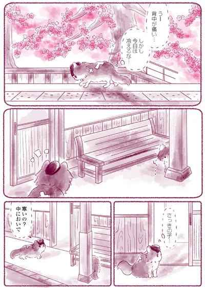 『にゃん旅鉄道　～さくらの物語～』より