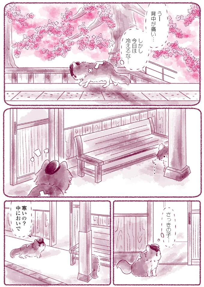 『にゃん旅鉄道　～さくらの物語～』より