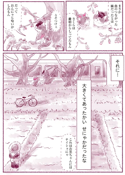 『にゃん旅鉄道　～さくらの物語～』より