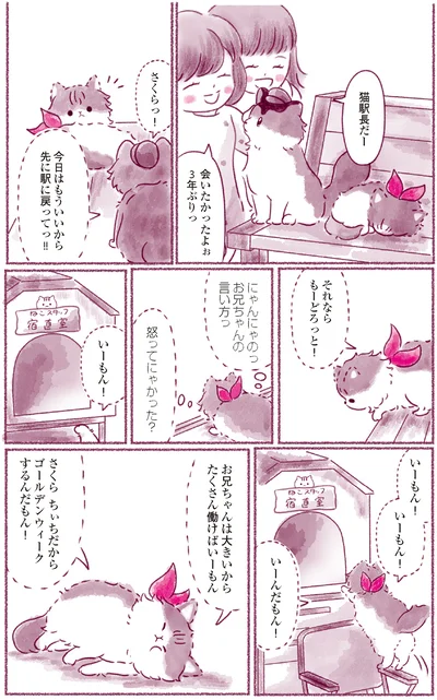 『にゃん旅鉄道　～さくらの物語～』より