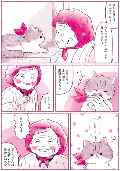 『にゃん旅鉄道　～さくらの物語～』より
