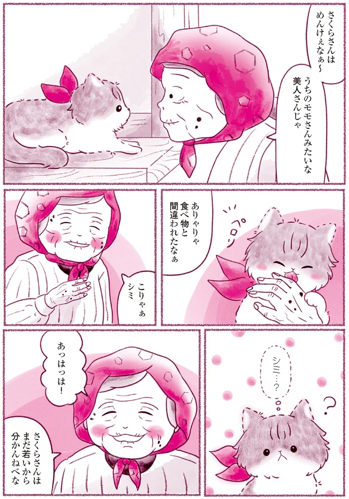 『にゃん旅鉄道　～さくらの物語～』より