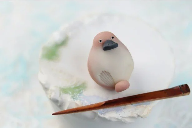 カモノハシの練り切りでした!▶︎次は悶絶…ずらっと並ぶ動物和菓子の素敵すぎる写真。なんの動物かというと…(⇒次へ)