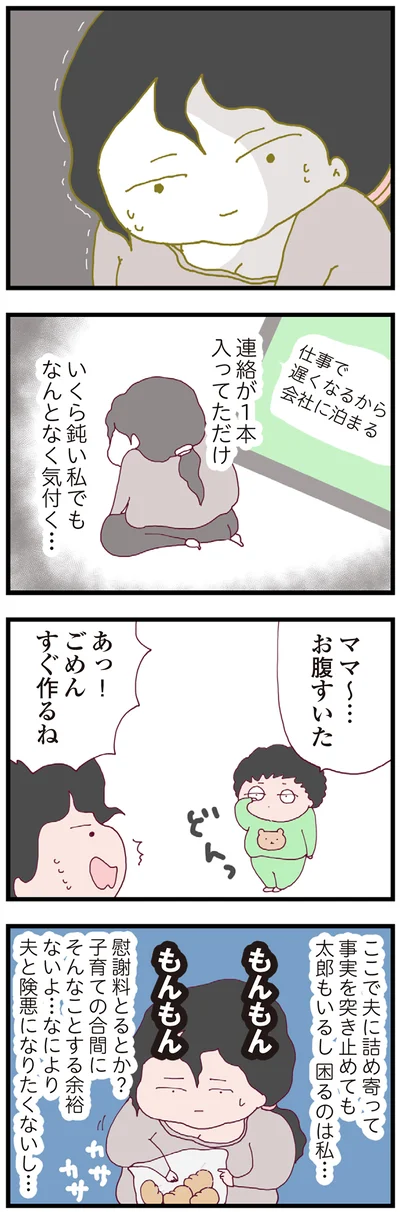 『整形主婦 サレ妻の逆襲』より