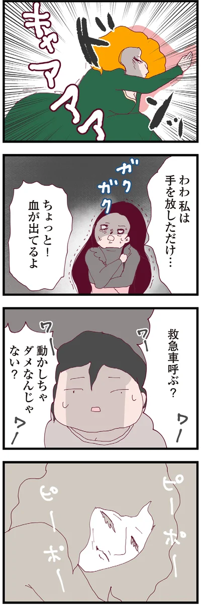 『整形主婦 サレ妻の逆襲』より