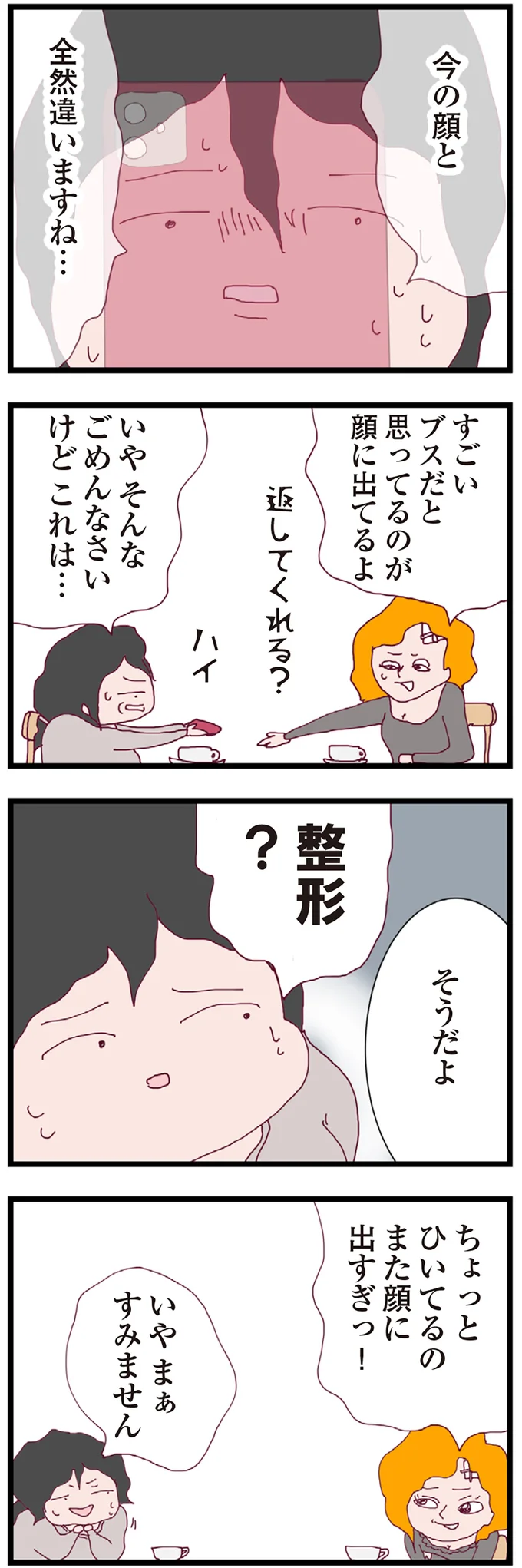 『整形主婦 サレ妻の逆襲』より