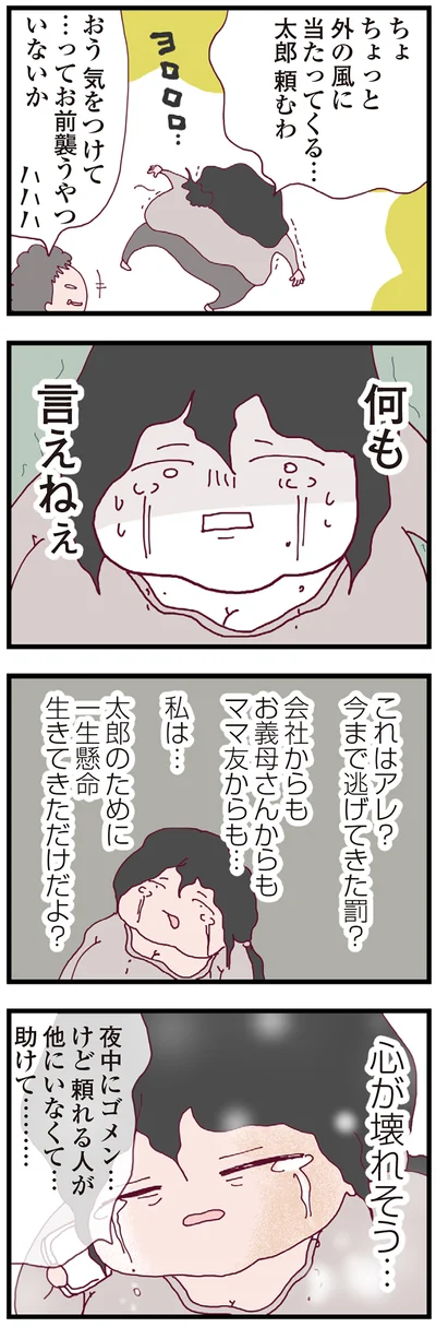『整形主婦 サレ妻の逆襲』より