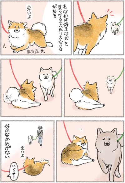 『犬を揉む -ぺちょら… ときどき 帰宅拒否-』より