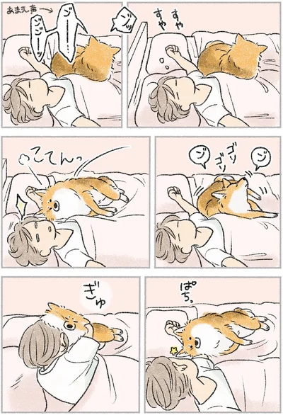 『犬を揉む -ぺちょら… ときどき 帰宅拒否-』より