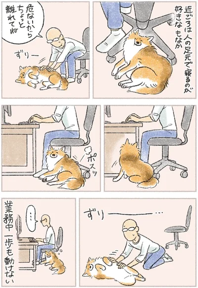 『犬を揉む -ぺちょら… ときどき 帰宅拒否-』より