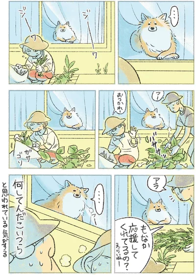 『犬を揉む -ぺちょら… ときどき 帰宅拒否-』より