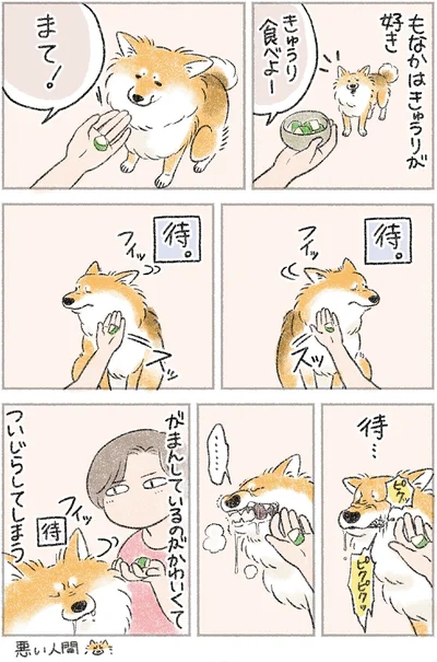 『犬を揉む -ぺちょら… ときどき 帰宅拒否-』より