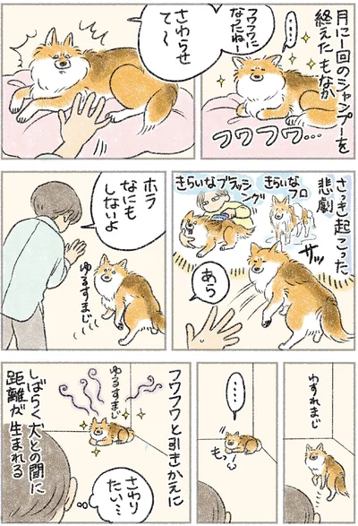 『犬を揉む -ぺちょら… ときどき 帰宅拒否-』より