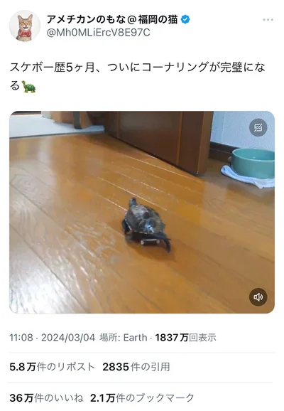 スケボー歴5か月にして乗りこなすクサガメ軍曹くん。コーナリングが完璧！▶スケボー歴4か月のころと比較すると…（⇒次へ）
