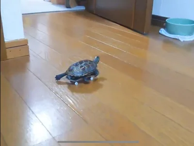 ラジコンと間違われることも多いそう（⇒次画像から動物病院を描いた漫画が読めます）