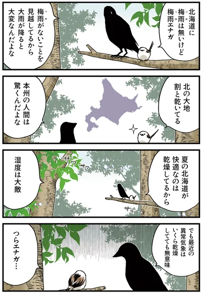『永久機関シマエナガ－シマエナガとカラスさん－さんばいめっ！』より